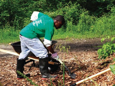 Planting the design