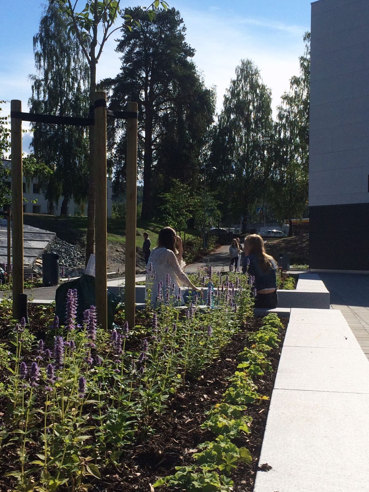 Planting along the building