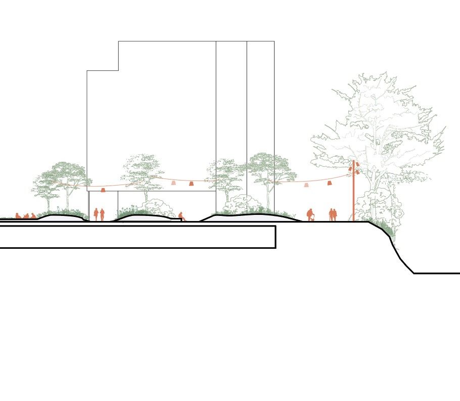 Section through the planted terraces